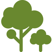 TreeSense Imaging logo